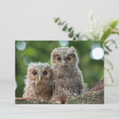 最も可愛い赤ん坊の動物 | 2つの若いフクロウ サンキューカード (スタンド正面)