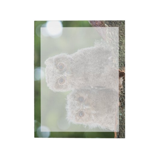 最も可愛い赤ん坊の動物 | 2つの若いフクロウ ノートパッド (回転)