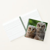 最も可愛い赤ん坊の動物 | 2つの若いフクロウ ノートブック (内部)