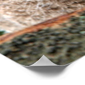 最も可愛い赤ん坊の動物 | 2つの若いフクロウ ポスター (角)