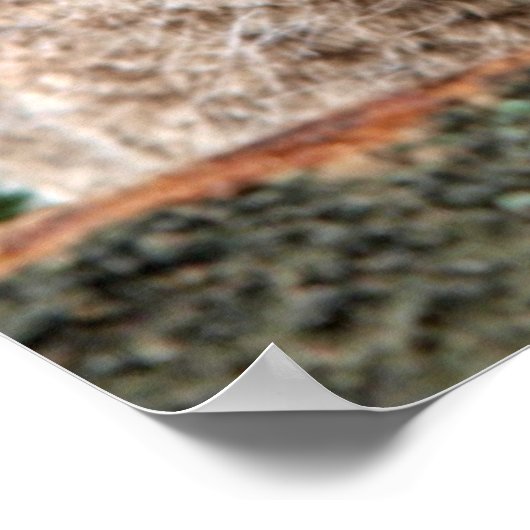 最も可愛い赤ん坊の動物 | 2つの若いフクロウ ポスター (角)