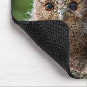 最も可愛い赤ん坊の動物 | 2つの若いフクロウ マウスパッド (コーナー)