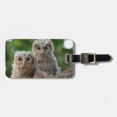 最も可愛い赤ん坊の動物 | 2つの若いフクロウ ラゲッジタグ (正面横)