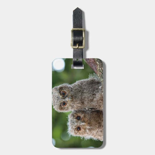 最も可愛い赤ん坊の動物 | 2つの若いフクロウ ラゲッジタグ (正面縦)