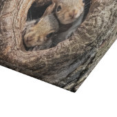 最も可愛い赤ん坊の動物 | 2人のリス カッティングボード (角)