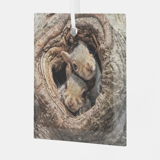 最も可愛い赤ん坊の動物 | 2人のリス ガラスオーナメント (正面左)