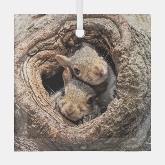 最も可愛い赤ん坊の動物 | 2人のリス ガラスオーナメント (正面)
