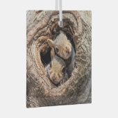 最も可愛い赤ん坊の動物 | 2人のリス ガラスオーナメント (正面右)