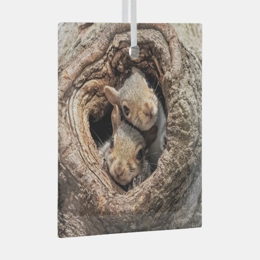 最も可愛い赤ん坊の動物 | 2人のリス ガラスオーナメント (正面右)