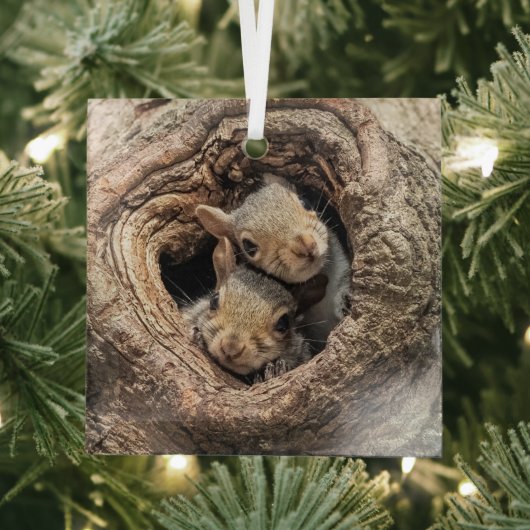 最も可愛い赤ん坊の動物 | 2人のリス ガラスオーナメント (インサイチュ)