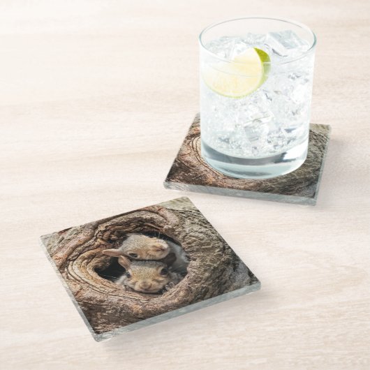 最も可愛い赤ん坊の動物 | 2人のリス ガラスコースター (アングル)