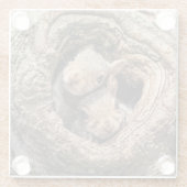 最も可愛い赤ん坊の動物 | 2人のリス ガラスコースター (裏面)