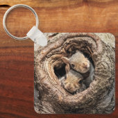 最も可愛い赤ん坊の動物 | 2人のリス キーホルダー (正面)
