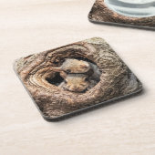 最も可愛い赤ん坊の動物 | 2人のリス コースター (左側)