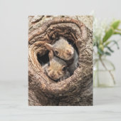 最も可愛い赤ん坊の動物 | 2人のリス サンキューカード (スタンド正面)