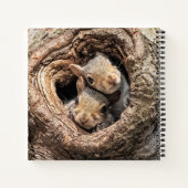 最も可愛い赤ん坊の動物 | 2人のリス ノートブック (裏面)