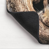 最も可愛い赤ん坊の動物 | 2人のリス マウスパッド (コーナー)