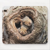 最も可愛い赤ん坊の動物 | 2人のリス マウスパッド (正面)