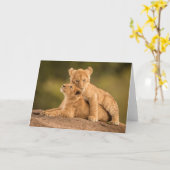 最も可愛い赤ん坊の動物 | 2匹のライオンの仔 カード (黄色い花)