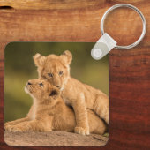 最も可愛い赤ん坊の動物 | 2匹のライオンの仔 キーホルダー (裏面)