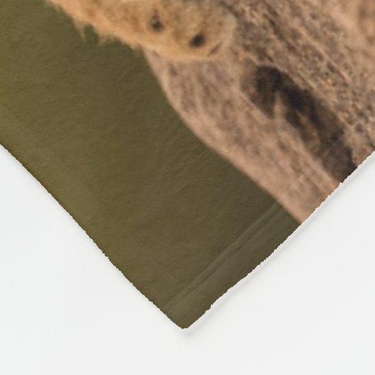 最も可愛い赤ん坊の動物 | 2匹のライオンの仔 フリースブランケット (角)