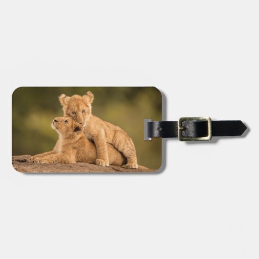 最も可愛い赤ん坊の動物 | 2匹のライオンの仔 ラゲッジタグ (正面横)