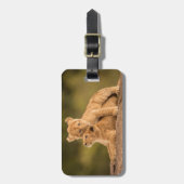 最も可愛い赤ん坊の動物 | 2匹のライオンの仔 ラゲッジタグ (正面縦)