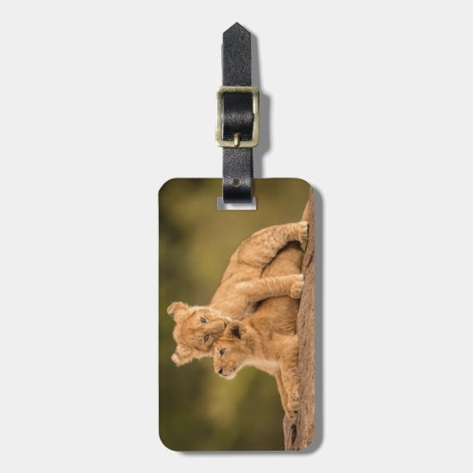 最も可愛い赤ん坊の動物 | 2匹のライオンの仔 ラゲッジタグ (正面縦)