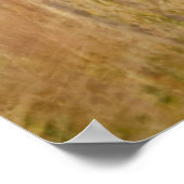 最も可愛い赤ん坊の動物 | 2羽の白い尾を持つ鹿 ポスター (角)