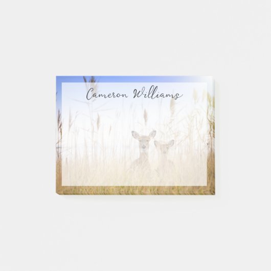 最も可愛い赤ん坊の動物 | 2羽の白い尾を持つ鹿 ポストイット (正面)