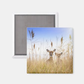 最も可愛い赤ん坊の動物 | 2羽の白い尾を持つ鹿 マグネット (正面/裏面)
