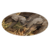 最も可愛い赤ん坊の動物 | 2頭の象 カッティングボード (角)