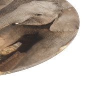 最も可愛い赤ん坊の動物 | 2頭の象 カッティングボード (角)