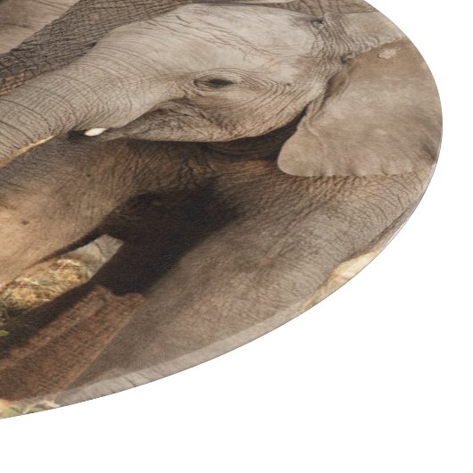 最も可愛い赤ん坊の動物 | 2頭の象 カッティングボード (角)