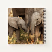 最も可愛い赤ん坊の動物 | 2頭の象 ノートブック (裏面)