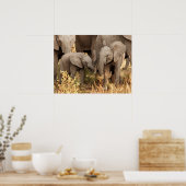 最も可愛い赤ん坊の動物 | 2頭の象 ポスター (キッチン)