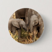 最も可愛い赤ん坊の動物 | 2頭の象 缶バッジ (正面)