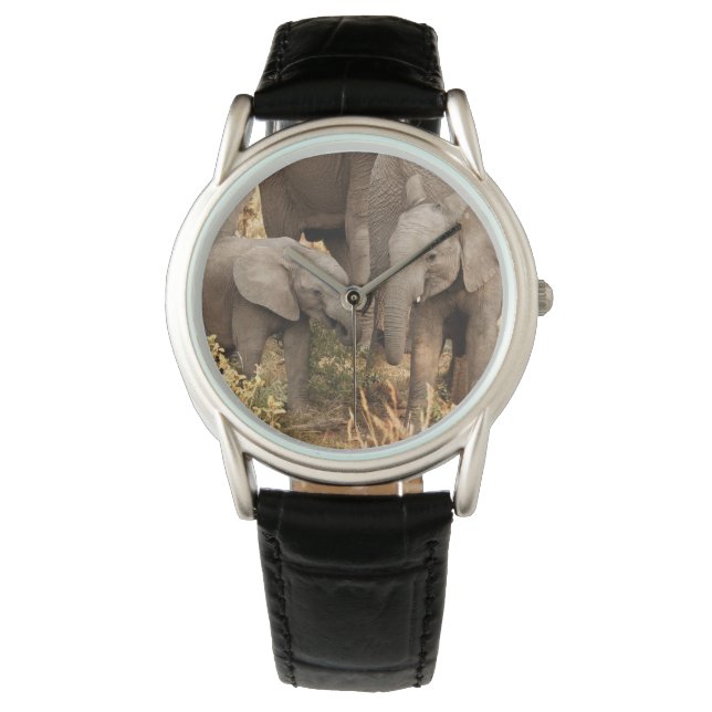 最も可愛い赤ん坊の動物 | 2頭の象 腕時計 (正面)