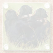 最も可愛い赤ん坊の動物 | 3つのチンパンジーのハグ ガラスコースター (裏面)