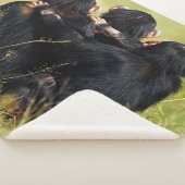 最も可愛い赤ん坊の動物 | 3つのチンパンジーのハグ シェルパブランケット (3/4)