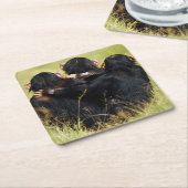 最も可愛い赤ん坊の動物 | 3つのチンパンジーのハグ スクエアペーパーコースター (アングル)