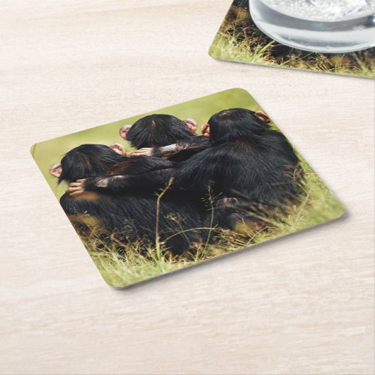 最も可愛い赤ん坊の動物 | 3つのチンパンジーのハグ スクエアペーパーコースター (アングル)