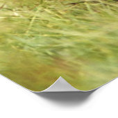 最も可愛い赤ん坊の動物 | 3つのチンパンジーのハグ ポスター (角)