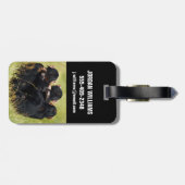 最も可愛い赤ん坊の動物 | 3つのチンパンジーのハグ ラゲッジタグ (裏面横)