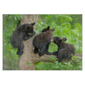 最も可愛い赤ん坊の動物 | 3つの黒いクマの子牛 カッティングボード (正面)