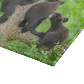 最も可愛い赤ん坊の動物 | 3つの黒いクマの子牛 カッティングボード (角)