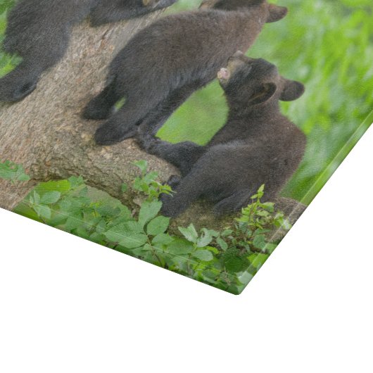 最も可愛い赤ん坊の動物 | 3つの黒いクマの子牛 カッティングボード (角)