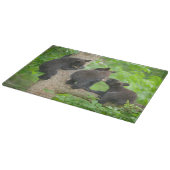 最も可愛い赤ん坊の動物 | 3つの黒いクマの子牛 カッティングボード (角)