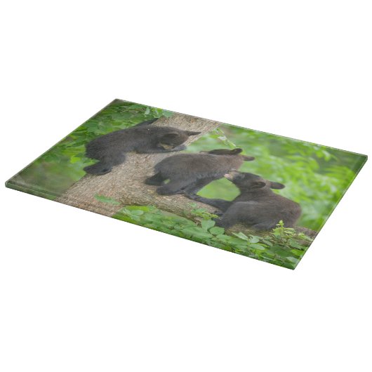 最も可愛い赤ん坊の動物 | 3つの黒いクマの子牛 カッティングボード (角)