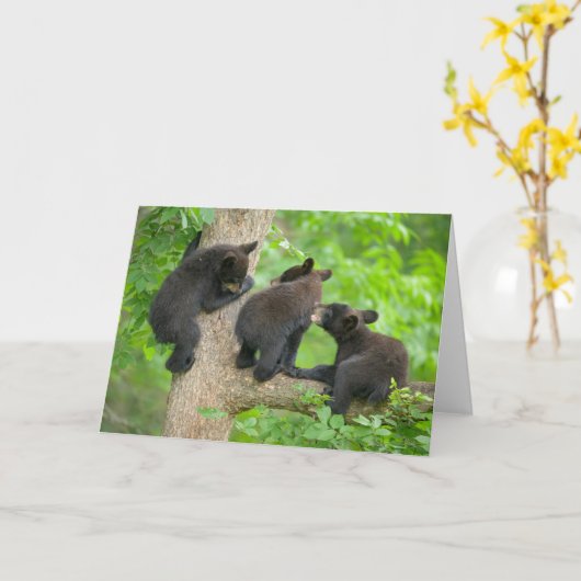 最も可愛い赤ん坊の動物 | 3つの黒いクマの子牛 カード (黄色い花)